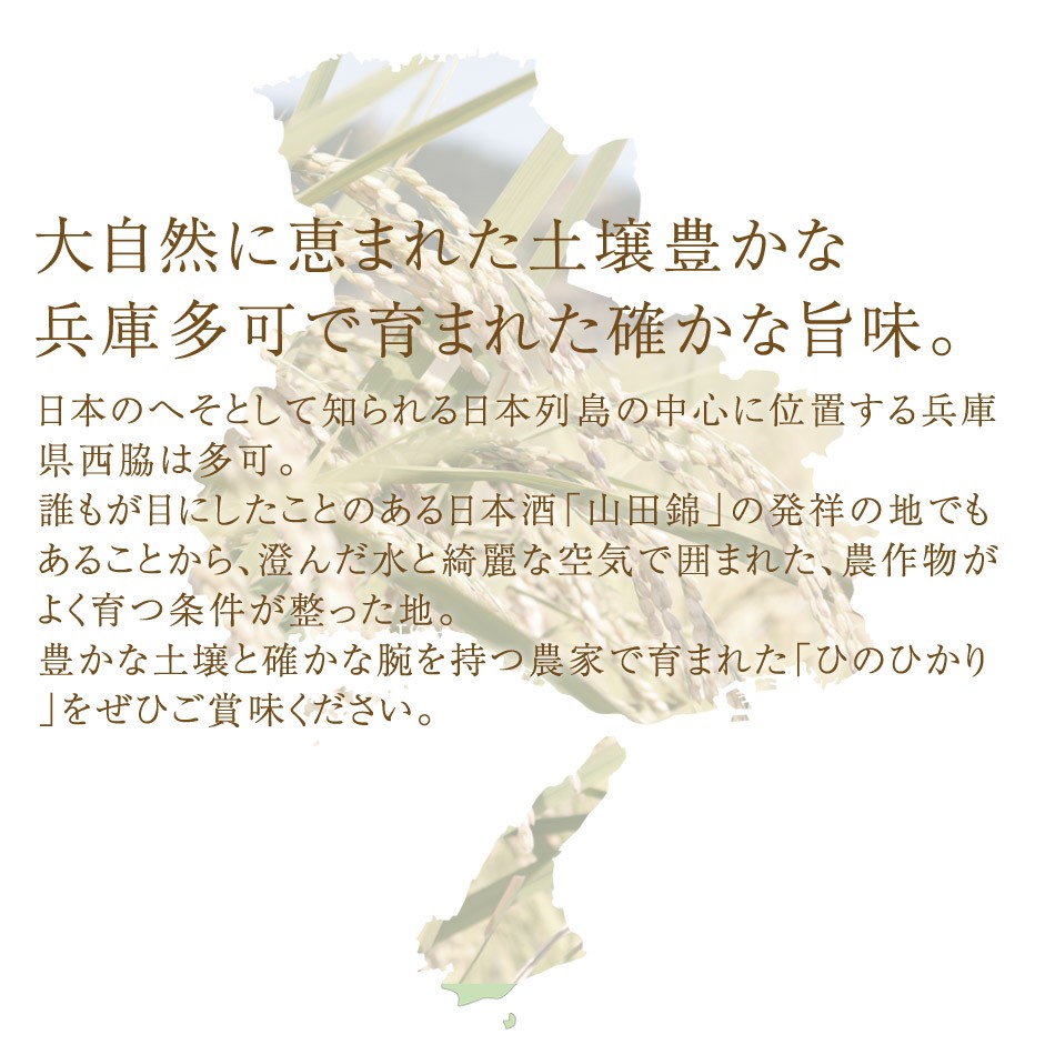 令和4年 2022 新米 産地直送 玄米 白米 送料無料 30kg ひのひかり 農家直送 ブランド米 兵庫県産ヒノヒカリ 西脇産 :  hinohikari-30 : 神戸御影青果 - 通販 - Yahoo!ショッピング