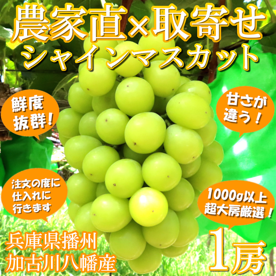 シャインマスカット 大房 甘い 赤秀品 1房 1kg 減農薬 産地