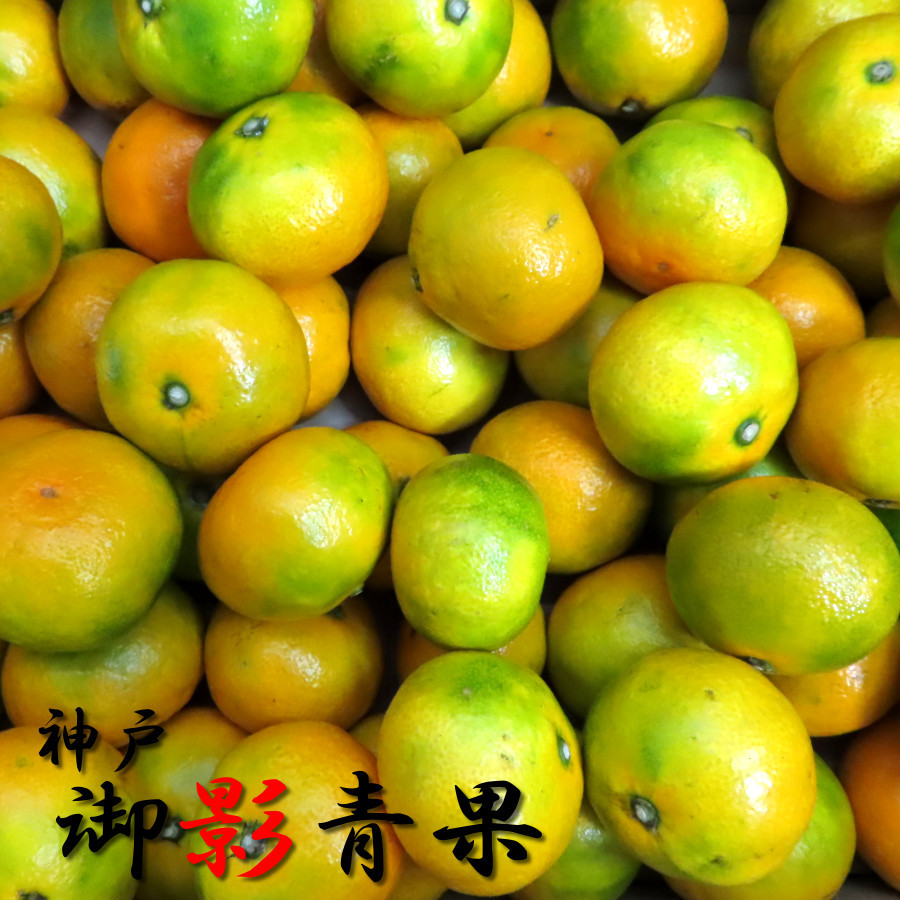 みかん 甘い 5kg 特秀品 小玉 早生種 三豊 温州ミカン 10月 果物