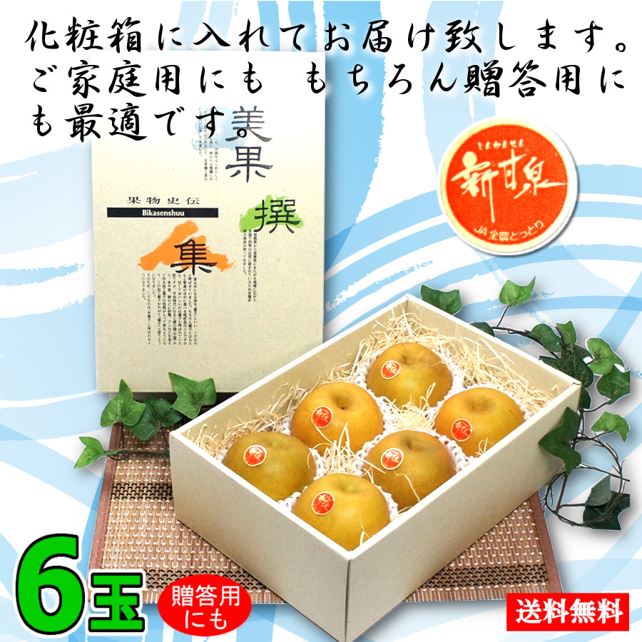 新甘泉 しんかんせん 梨 甘い 赤秀品 高糖度 6玉 化粧箱 鳥取県産 旬 果物 ナシ 通販 送料無料 数量限定 : sinkansen-a-6 :  神戸御影青果 - 通販 - Yahoo!ショッピング