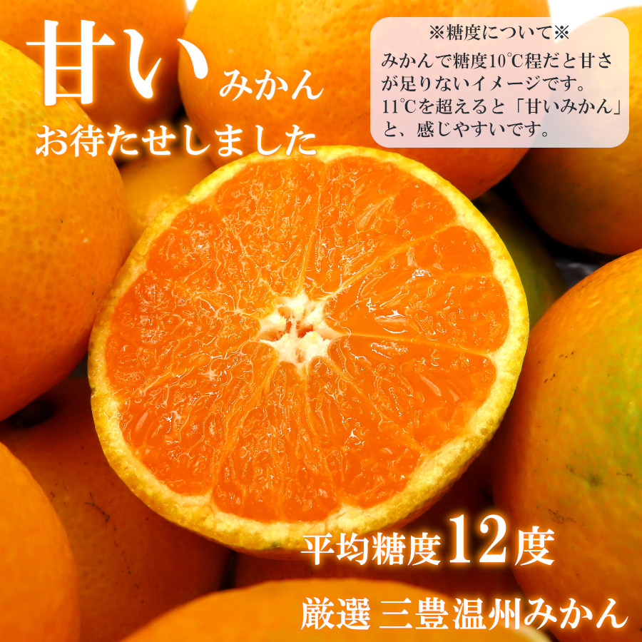 みかん 甘い 5kg 特秀品 三豊 温州みかん 糖度12度 2023 ギフト
