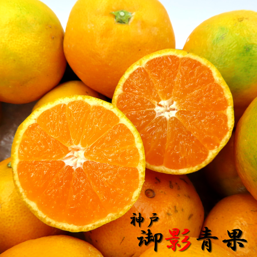 送料無料 いつまで 甘い みかん 特秀品 旬 果物 11月 三豊 糖度12度 温州みかん その他