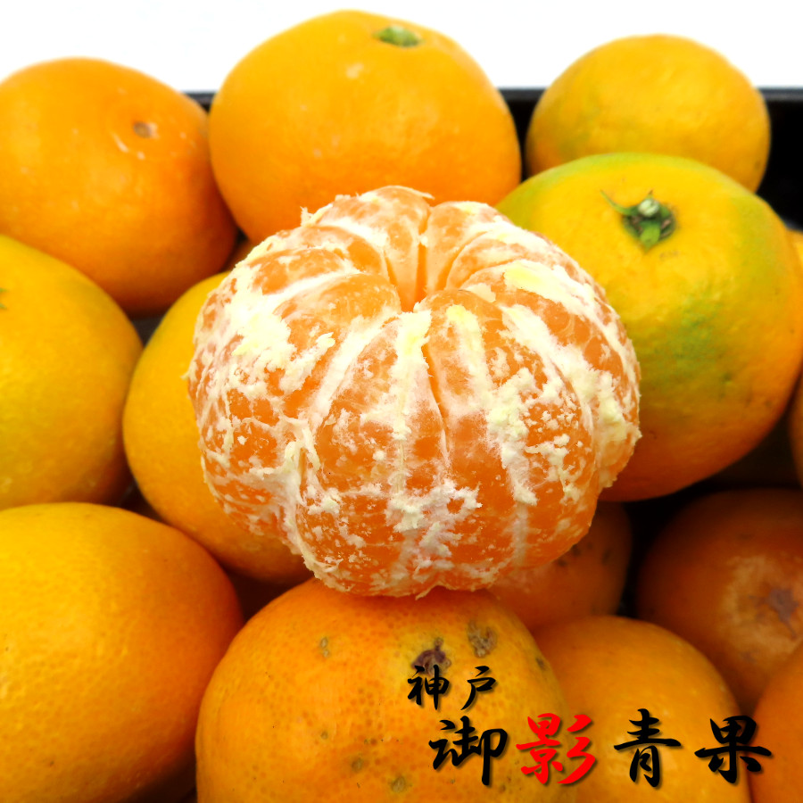 みかん 甘い 5kg 特秀品 三豊 温州みかん 糖度12度 2023 ギフト みかん 甘い 5kg 特秀品 三豊 温州みかん 糖度12度 2023 ギフト