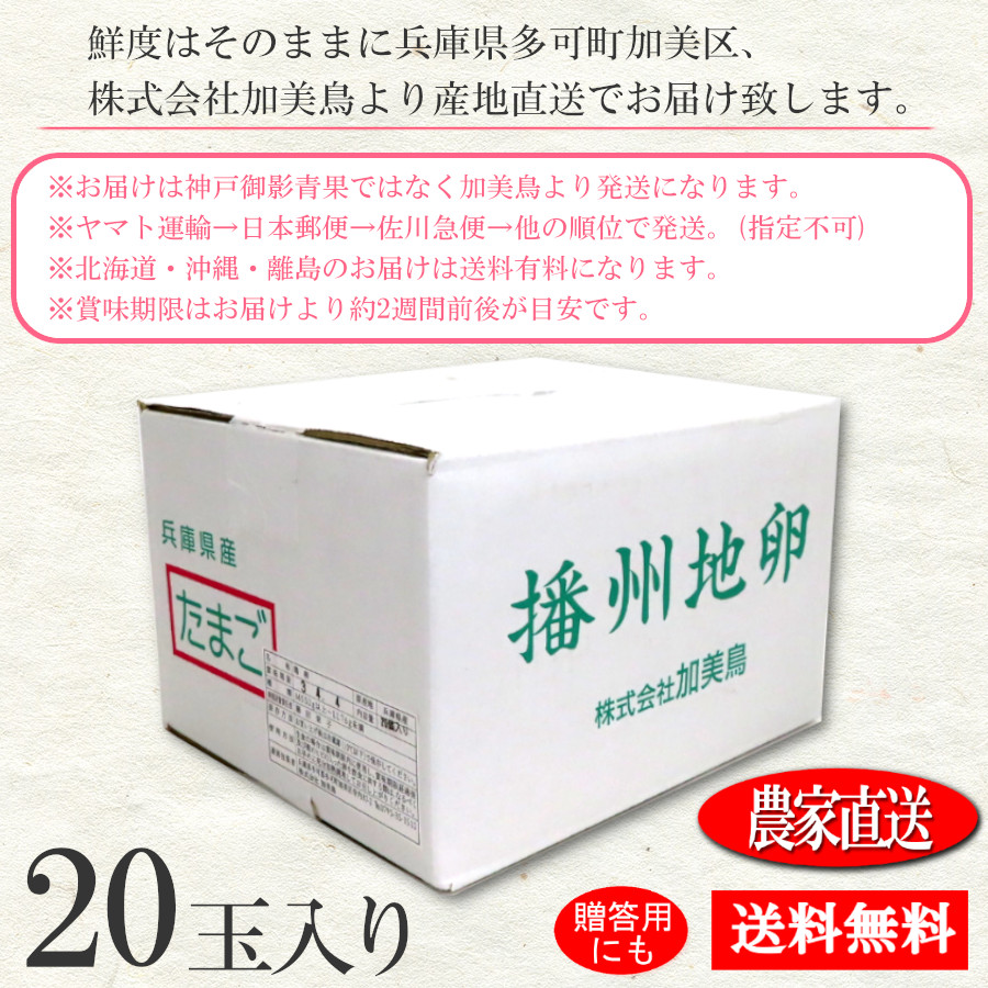 播州地卵