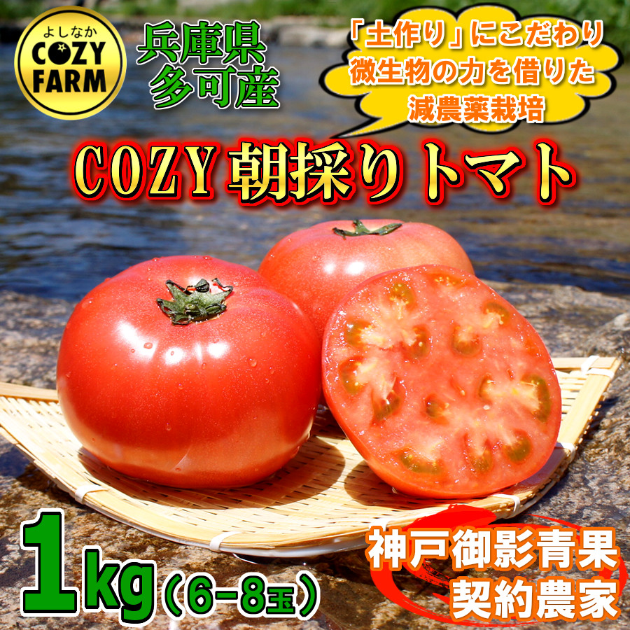 破格値下げ】 トマト 約2kg 農家直送 採れたて 送料無料 プレゼント 桃太郎トマト ヨダファーム 贈答用 ランキング1位 tomato 