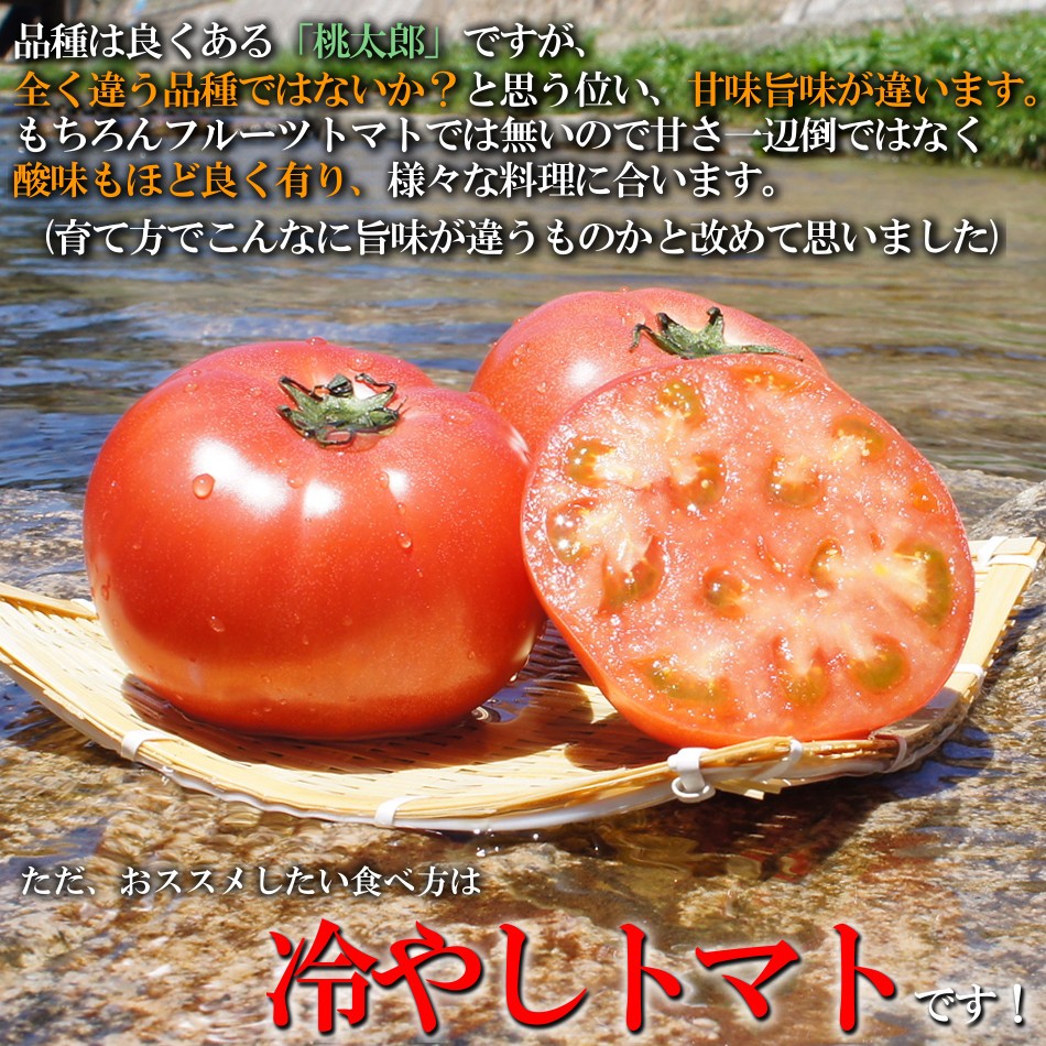 減農薬トマト