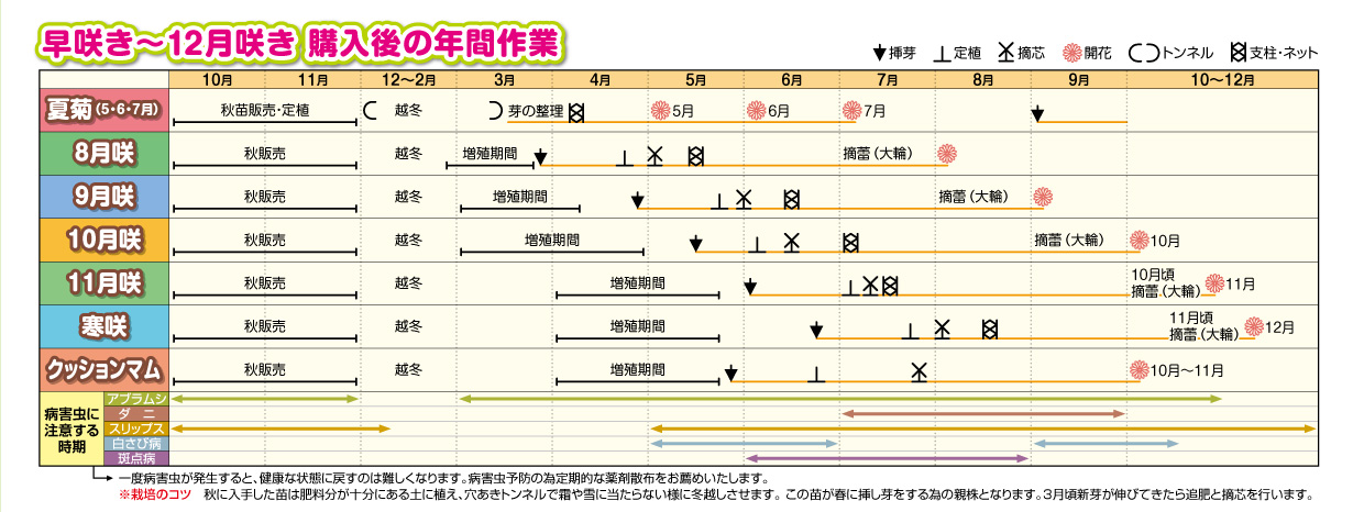 タイトル画像