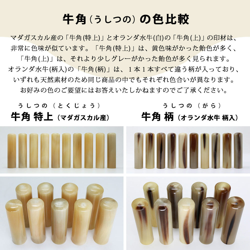 印鑑 作成 世果報(ゆがふ)印鑑 牛角(上) 15.0ミリ ケース付 実印 銀行印 はんこ 当店限定 京都×沖縄コラボ印鑑 書浪人 善隆 琉球_6