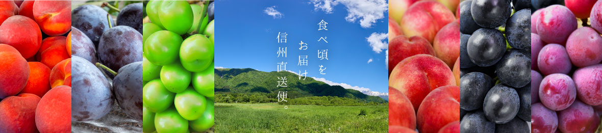 農家直売どっとこむヤフー店 ヘッダー画像