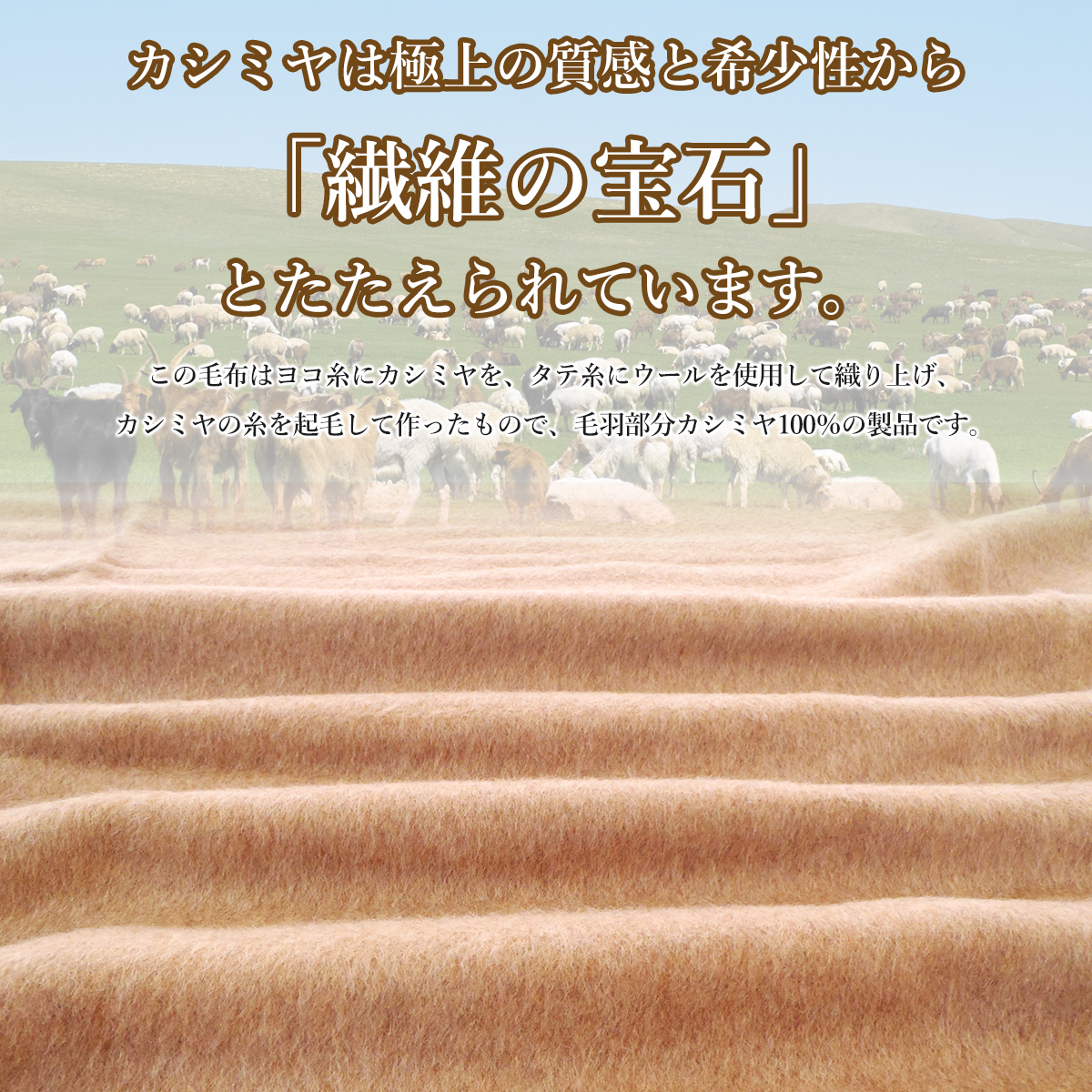 西川（nishikawa） カシミヤ毛布シングル カシミヤ 毛布 シングル 日本