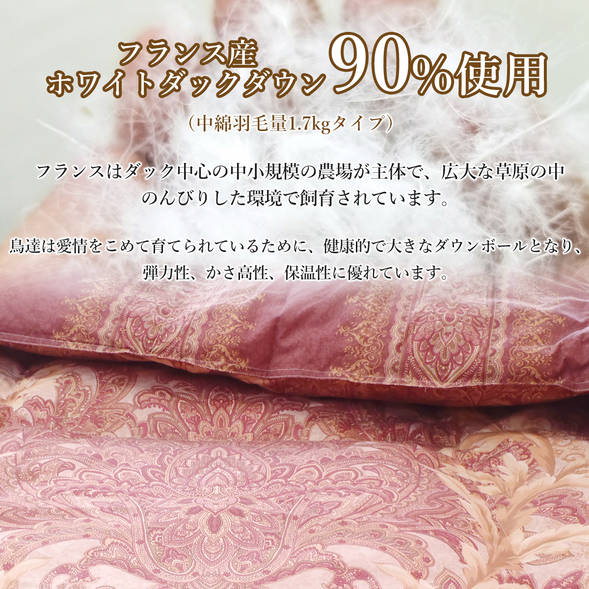 ロマンス小杉 羽毛布団ダブル フランスダックダウン90％ 羽毛掛け布団