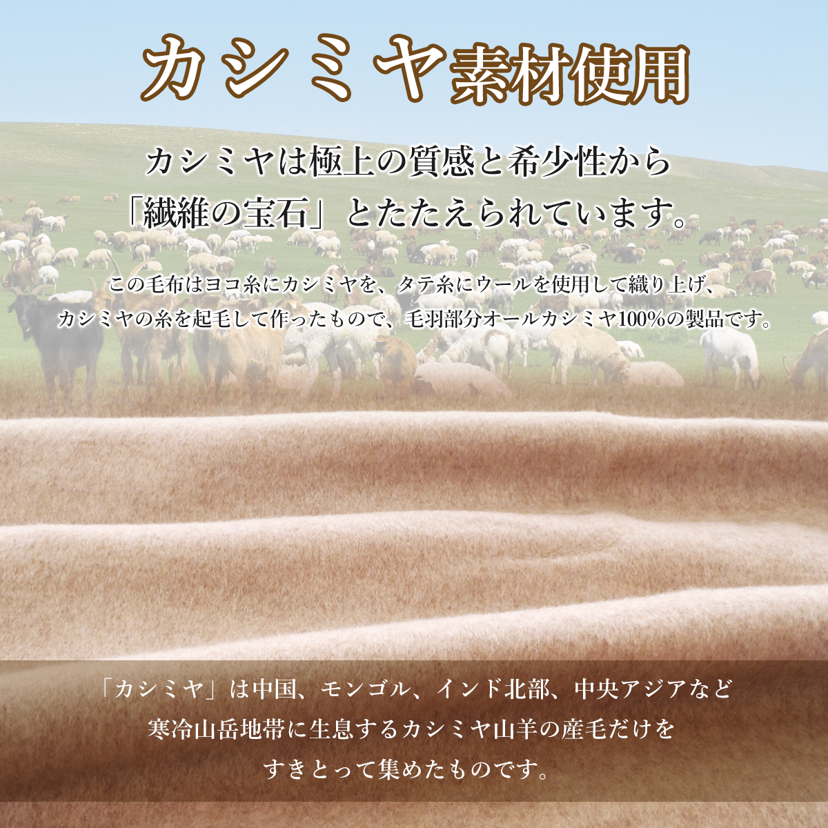 ロマンス小杉 カシミヤシングル カシミア毛布 日本製 カシミヤ毛布