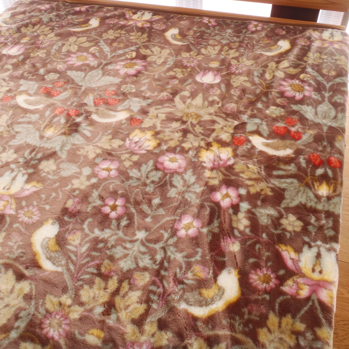 ロマンス小杉 ダブル毛布 アクリルニューマイヤー 軽量 ブラウン V＆A