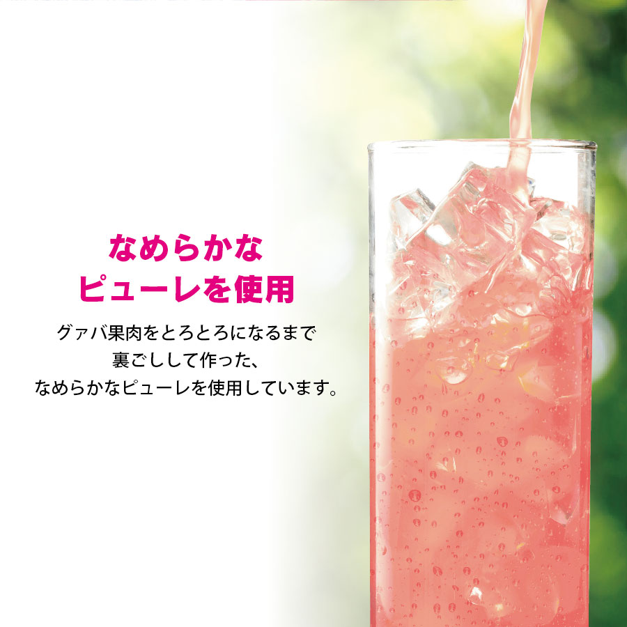 沖縄バヤリース　グァバ 果汁10％　500ml×12本（送料無料）｜e-okiko｜04