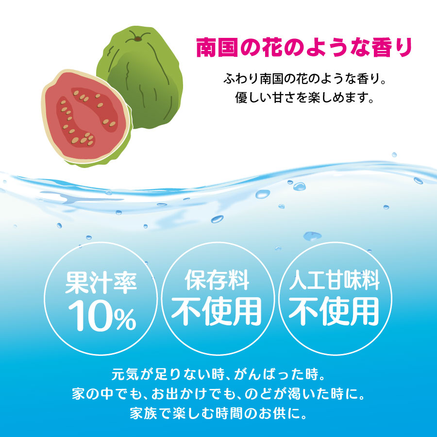 沖縄バヤリース　グァバ 果汁10％　500ml×12本（送料無料）｜e-okiko｜05