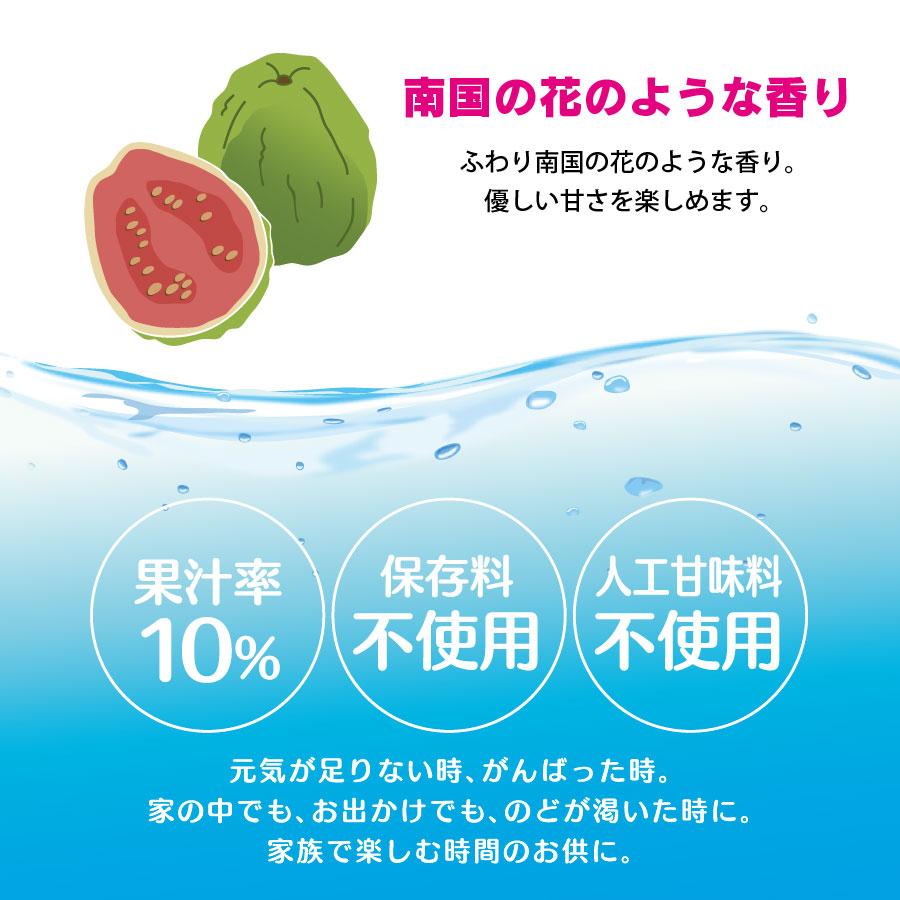 沖縄バヤリース　グァバ 果汁10％　500ml×24本（送料無料）｜e-okiko｜05