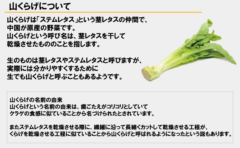 M282】特選 山くらげ カット 600g 乾燥 茎レタス ステムレタス
