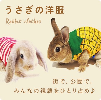 小動物用品専門店e-ペット屋さん