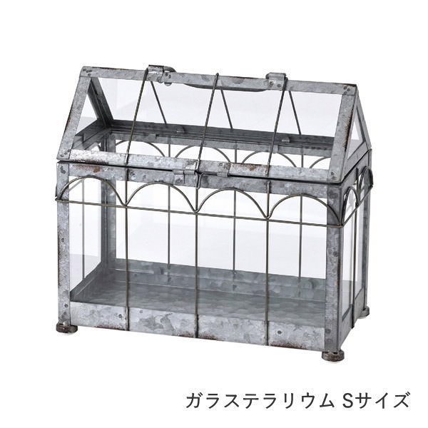 ガラステラリウム 容器 ガラス 蓋付き ディスプレイ ケース 植物 