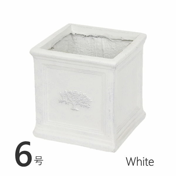 ¨в ݥåȥե쥹6 White ȭ  6 緿  ץ󥿡