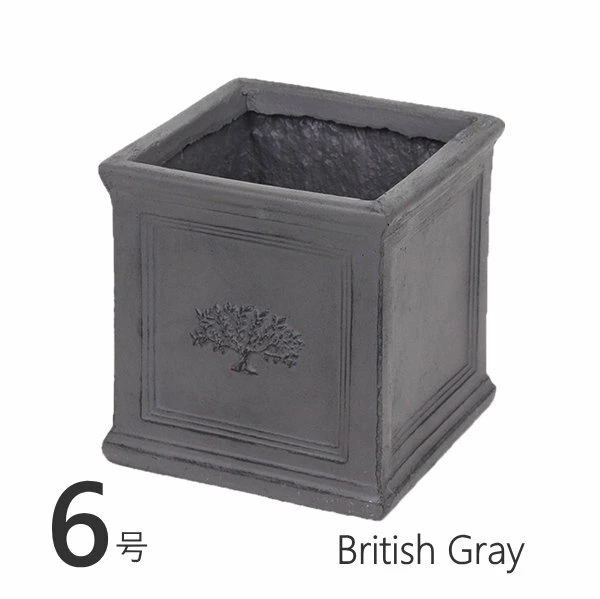 ¨в ݥåȥե쥹6 BritishGray ȭ  6 緿  ץ󥿡