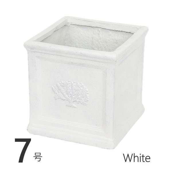¨в ݥåȥե쥹7 White ȭ  7 緿  ץ󥿡