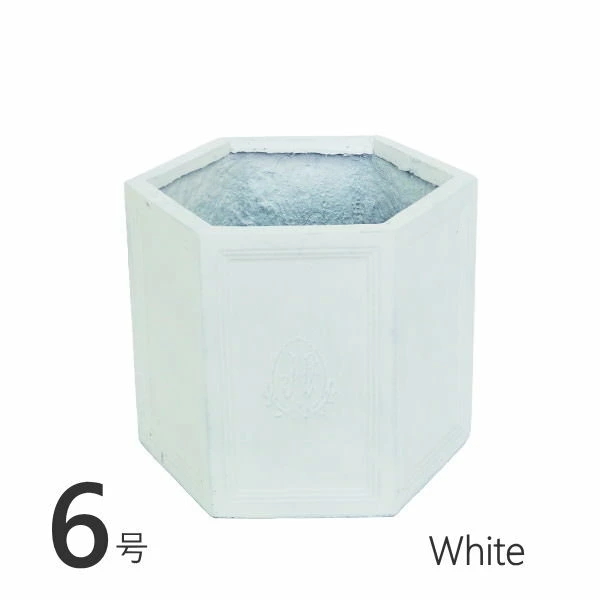 ¨в إݥå6 White ȭ  6 緿  ץ󥿡 ȭ