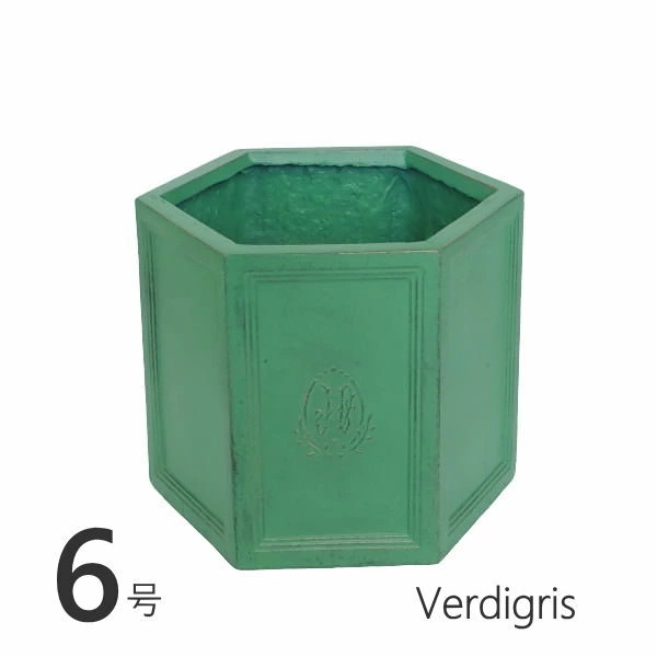 ¨в إݥå6 Verdigris ȭ  6 緿  ץ󥿡 ȭ