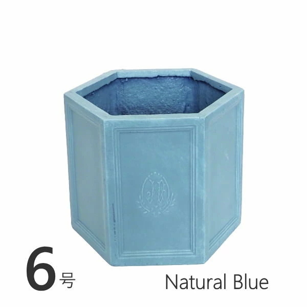 ¨в إݥå6 NaturalBlue ȭ  6 緿  ץ󥿡 ȭ