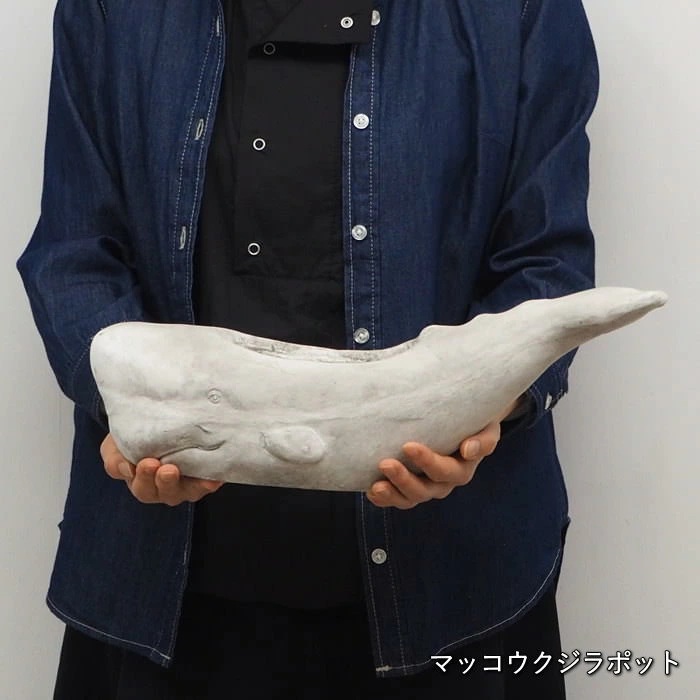 マッコウクジラポット プランター おしゃれ 鉢 ガーデニング 雑貨 かわいい