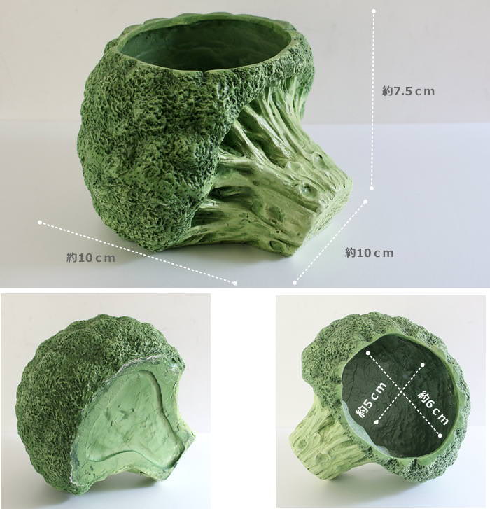 ブロッコリーポット Sサイズ 植木鉢 プランター ガーデニング ポット
