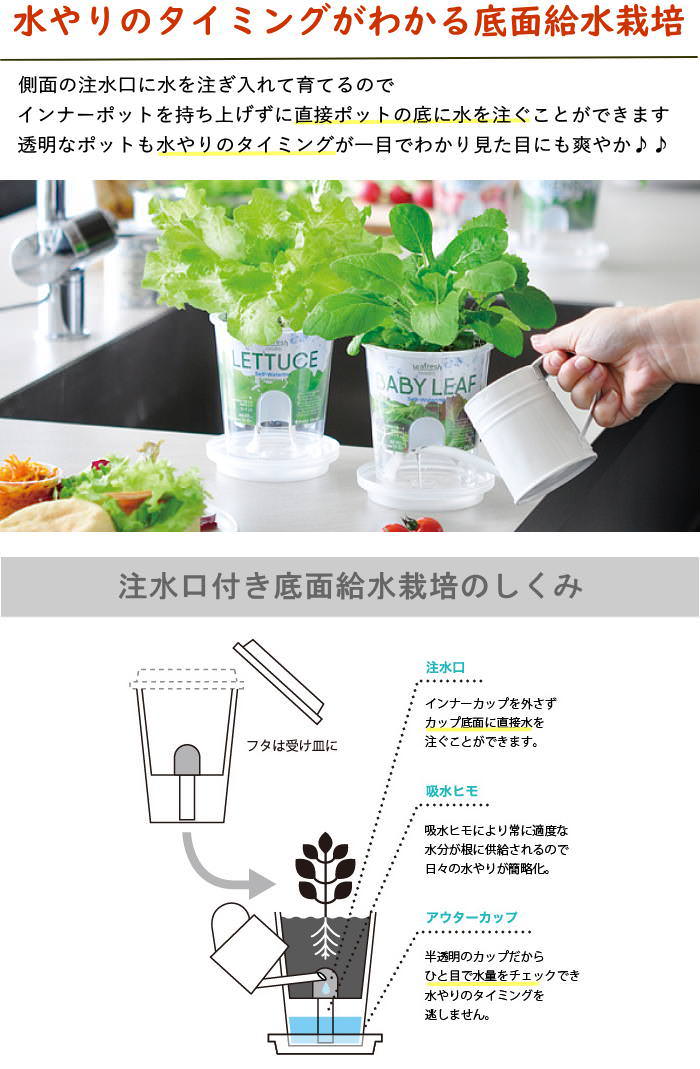 Fresh Feel フレッシュフィール ベビーリーフミックス 栽培セット 栽培キット 野菜栽培キット 母の日 野菜 葉菜 園芸 関連画像2
