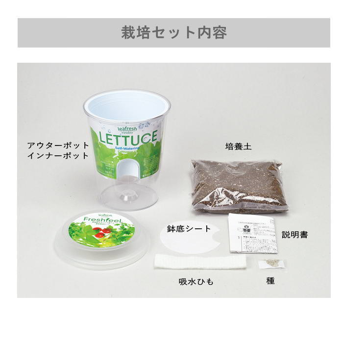 Fresh Feel フレッシュフィール ベビーリーフミックス 栽培セット 栽培キット 野菜栽培キット 母の日 野菜 葉菜 園芸 関連画像3
