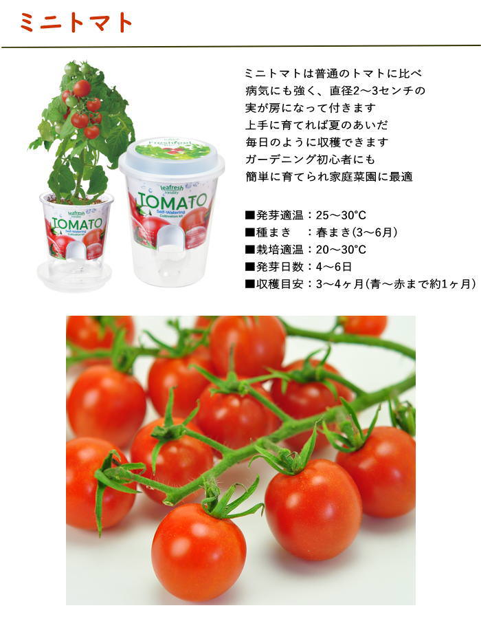 Fresh Feel フレッシュフィール ミニトマト 栽培セット 栽培キット