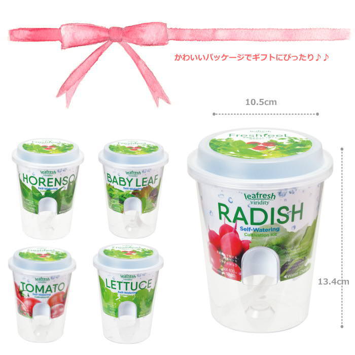 Fresh Feel フレッシュフィール ベビーリーフミックス 栽培セット 栽培キット 野菜栽培キット 母の日 野菜 葉菜 園芸 関連画像5