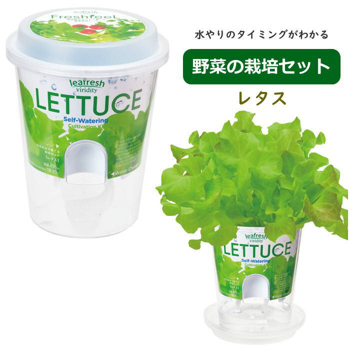 栽培セット