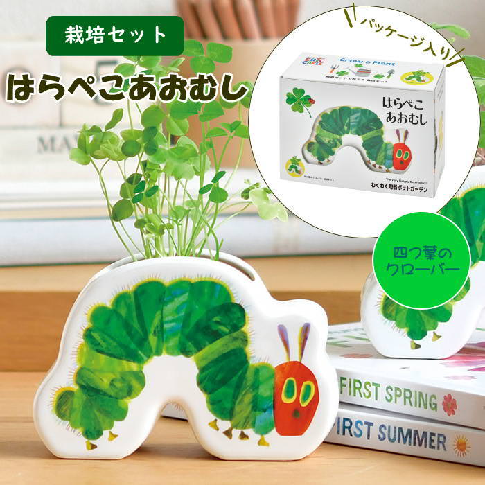 はらぺこあおむし わくわく陶器ポットガーデン 四つ葉のクローバー
