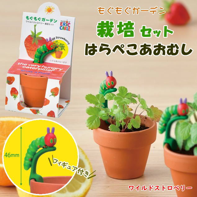 即出荷 はらぺこあおむし もぐもぐ栽培ガーデンセット ワイルドストロベリー 栽培セット 栽培キット 植物 園芸 ガーデニング 子供 自由研究 かわいい | 