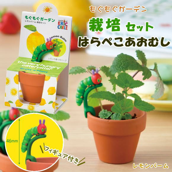 はらぺこあおむし もぐもぐ栽培ガーデンセット レモンバーム 栽培