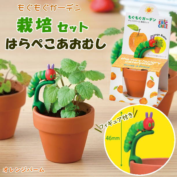 即出荷 はらぺこあおむし もぐもぐ栽培ガーデンセット オレンジバーム 栽培セット 栽培キット 植物 園芸 ガーデニング 子供 自由研究 かわいい | 