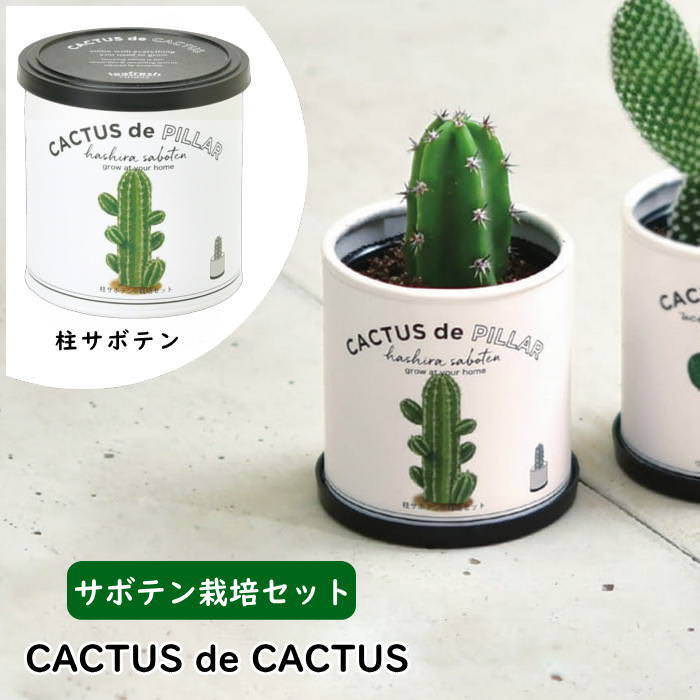 栽培セット