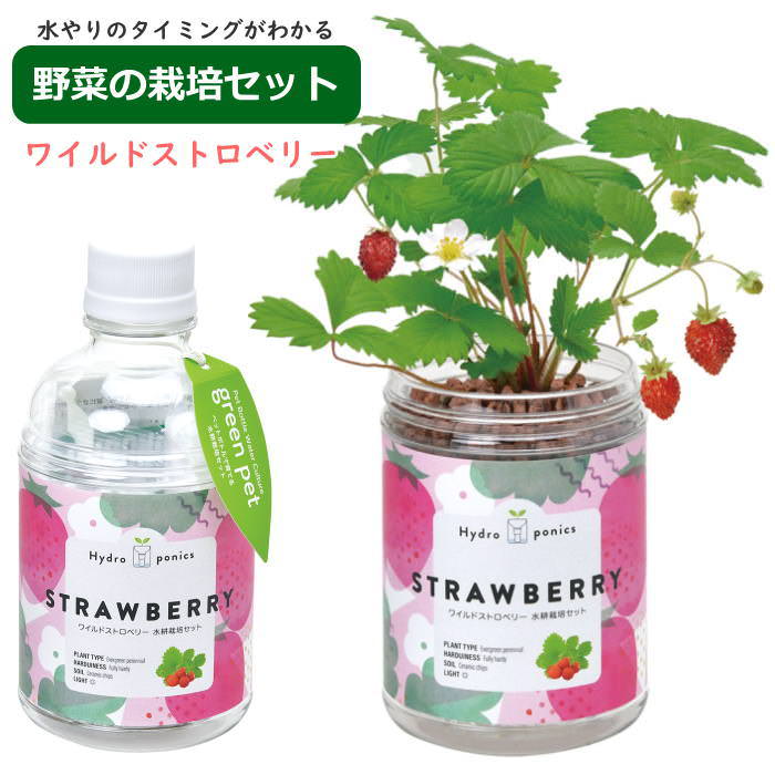 グリーンペット green pet ワイルドストロベリー 水耕栽培 栽培セット