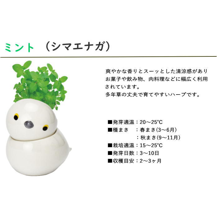 コロコロバード シマエナガ ミント 栽培セット キット 室内 野菜