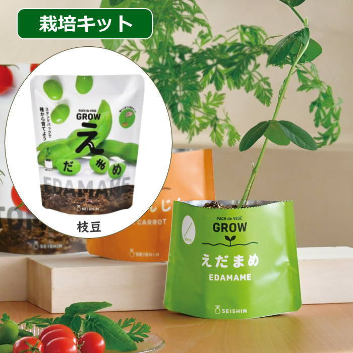 ベジパック 枝豆 栽培セット キット 室内 野菜 園芸 家庭菜園