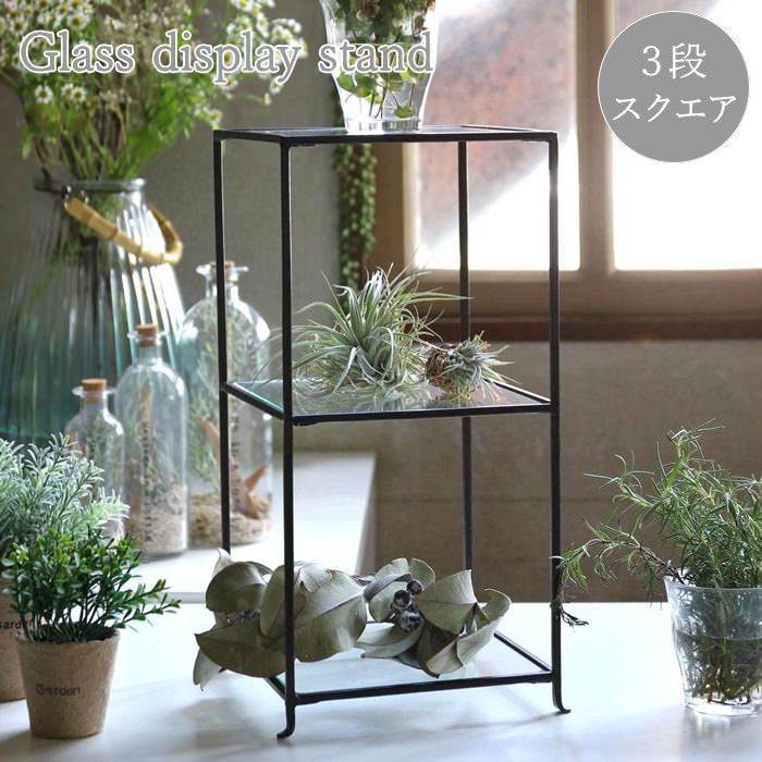 ☆かびごん☆　ガラスの置物　ガラス台　ディスプレイ台 ディスプレイ台 | GH-DKBC-CL | GREEN HOUSE グリーンハウス