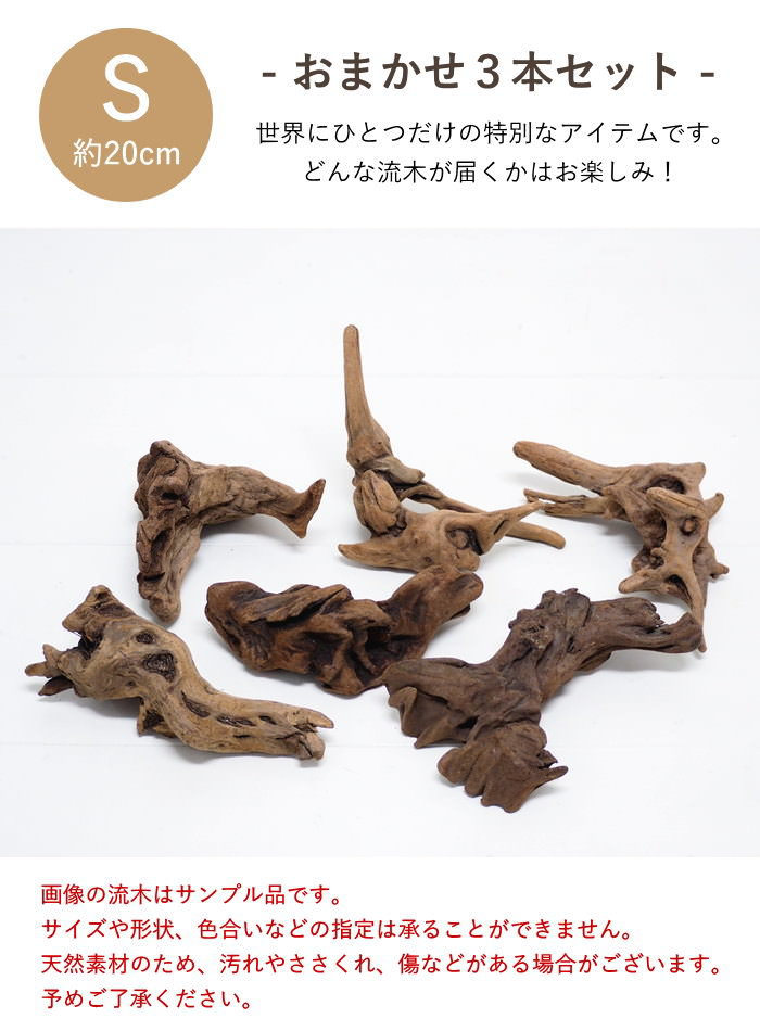マングローブ 流木 S 約20cm おまかせ3本セット インテリア 水槽 飾り