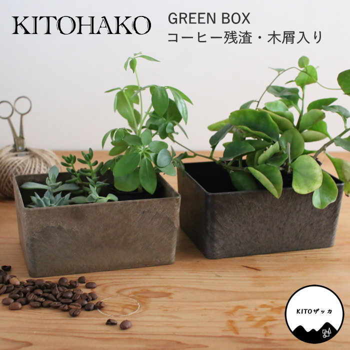 多肉植物（インテリアトレイ）｜整理用品、小物入れ｜インテリア雑貨