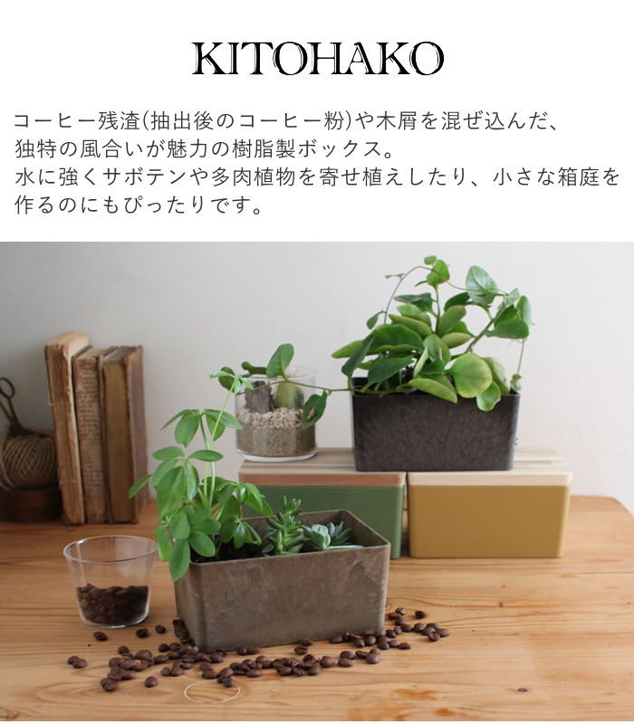 多肉植物（インテリアトレイ）｜整理用品、小物入れ｜インテリア雑貨