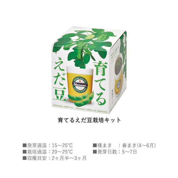 即出荷 育てるえだ豆栽培キット 栽培セット 栽培キット 室内 野菜 枝豆 園芸 |  | 06