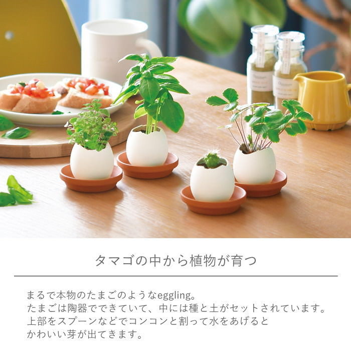 エッグリング クリアパッケージ ワイルドストロベリー 栽培セット 栽培